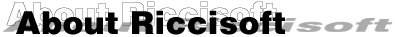 About Riccisoft